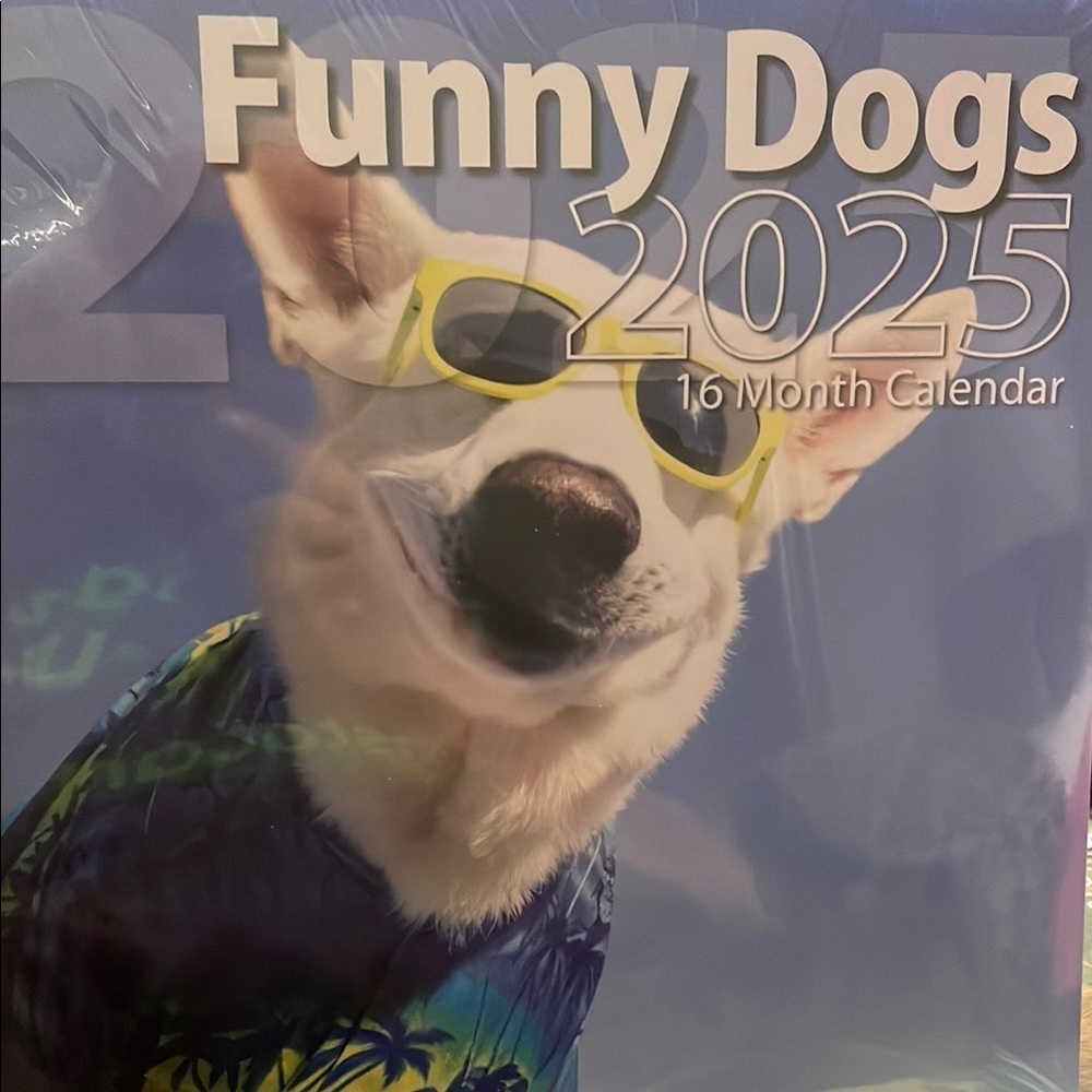Blue and Yellow Office Calendar 2025